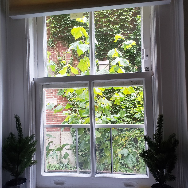 Old leaky windows